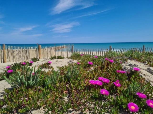 לה ברקרה Confortable Studio Cabine - Acces Plage- Vue Mer 4Tvp38 מראה חיצוני תמונה